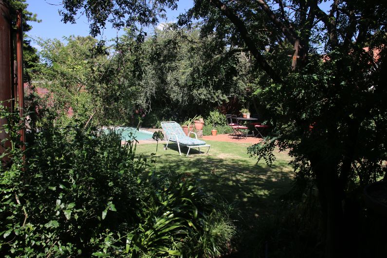 A lush indigenous garden at Acorns on 8th self catering accommodation in Johannesburg